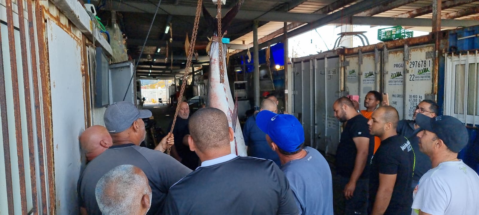 WhatsApp Image 2022-05-25 at 4.38.53 PM (1).jpeg